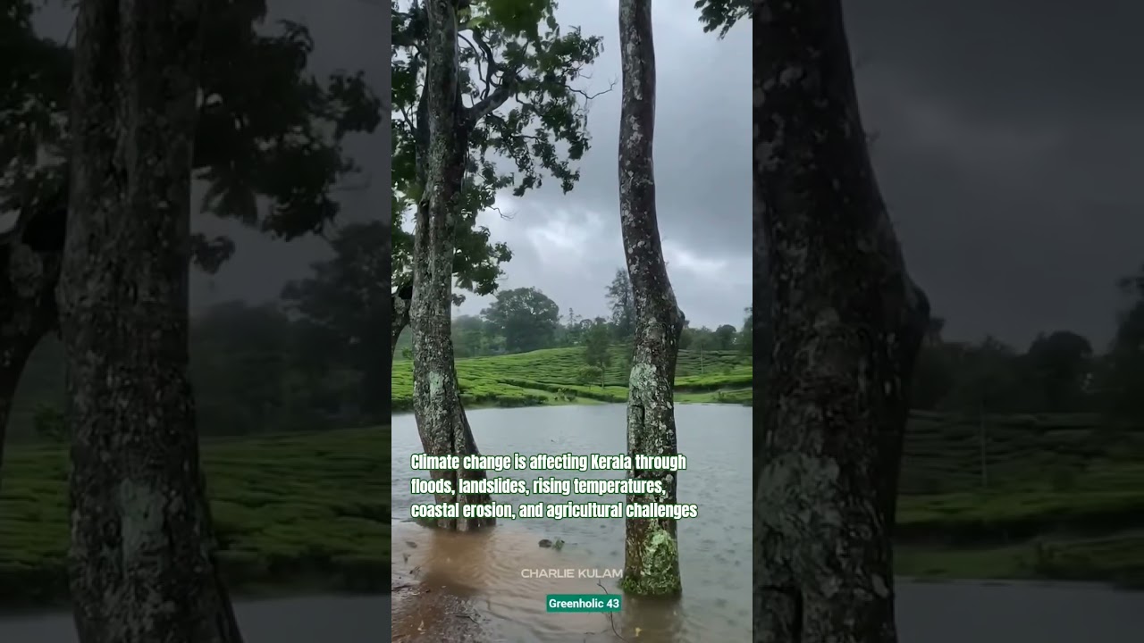 Effect of Climate Change in Kerala | Floods, Landslides & Rising Temperatures #Landslides #floodland