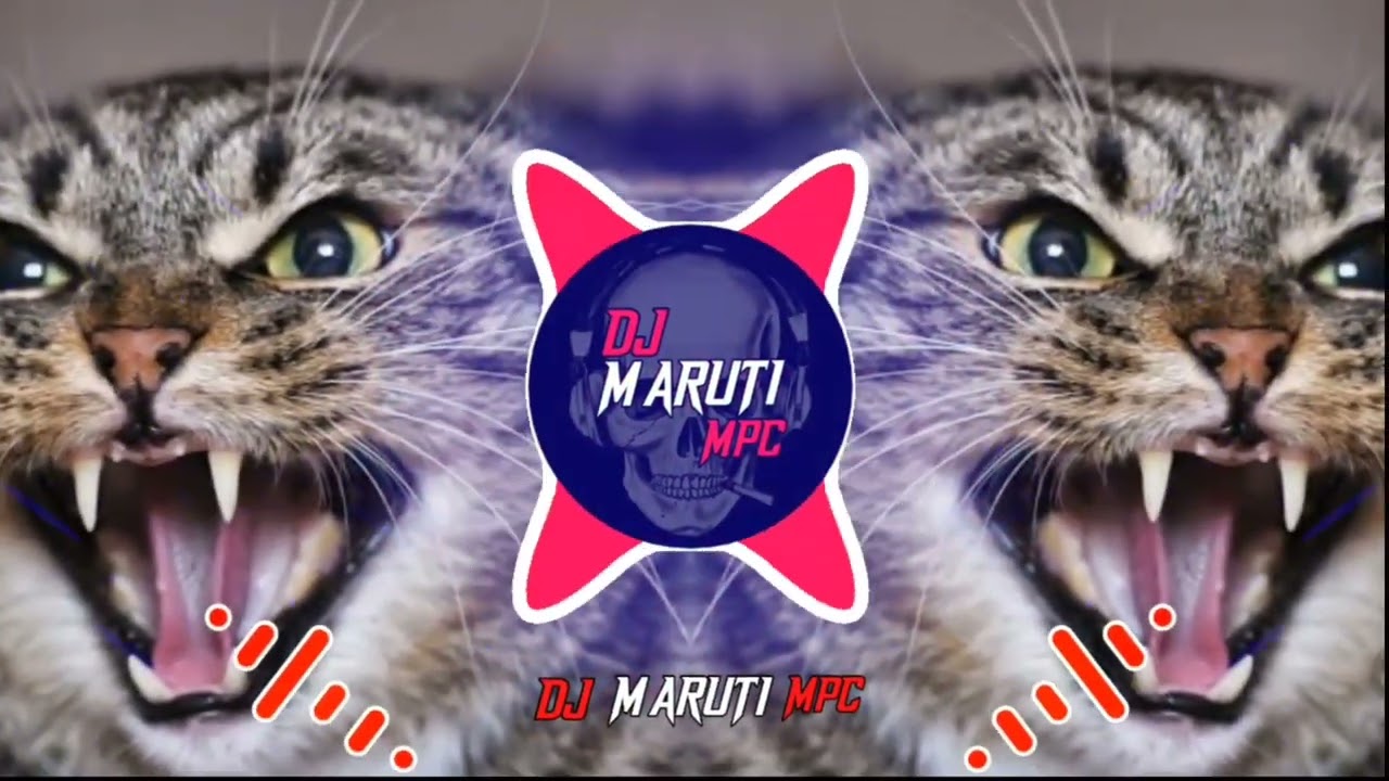 CAT × SOUND EDM TRANCE DJ MARUTI MPC DHARWAD