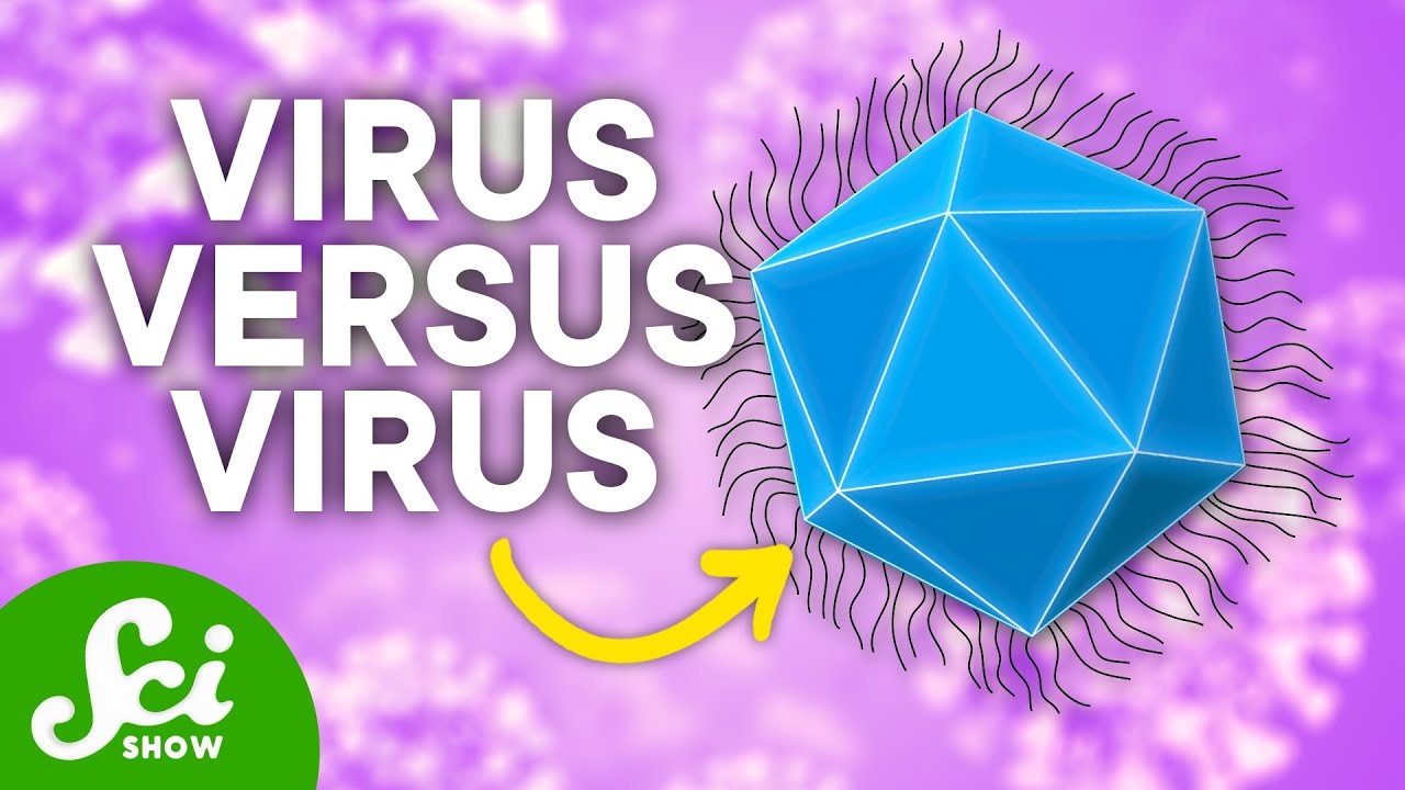 Viruses That Infect...Other Viruses? | Mysterious Pathogens