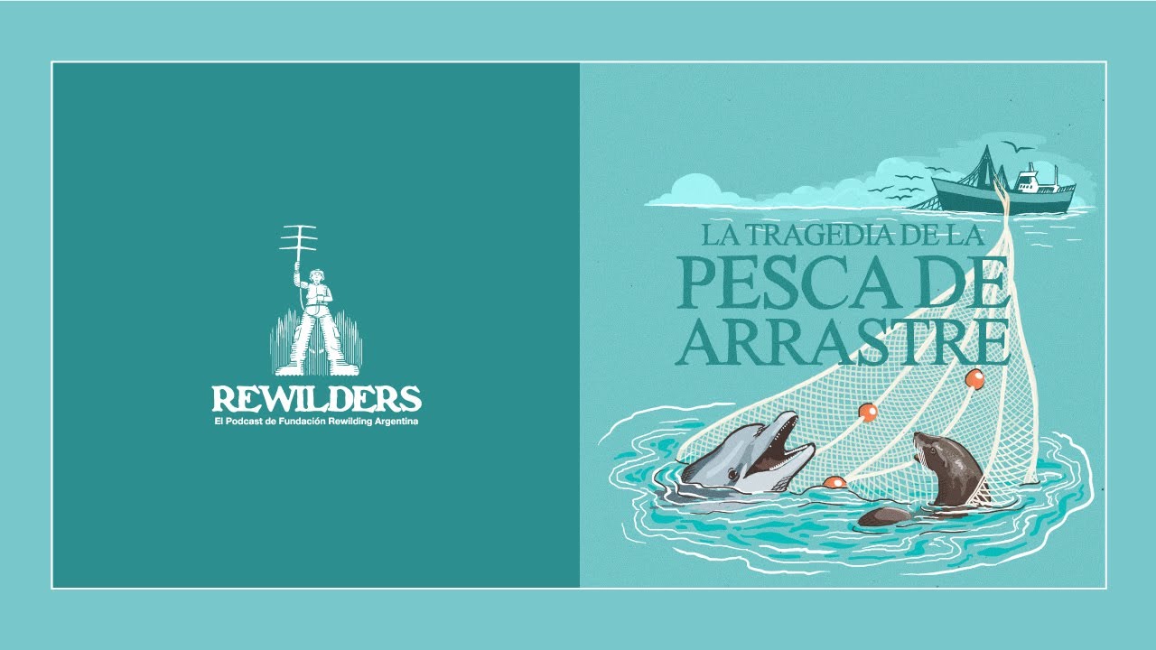 REWILDERS | Ep. 04 ·  Pesca de Arrastre