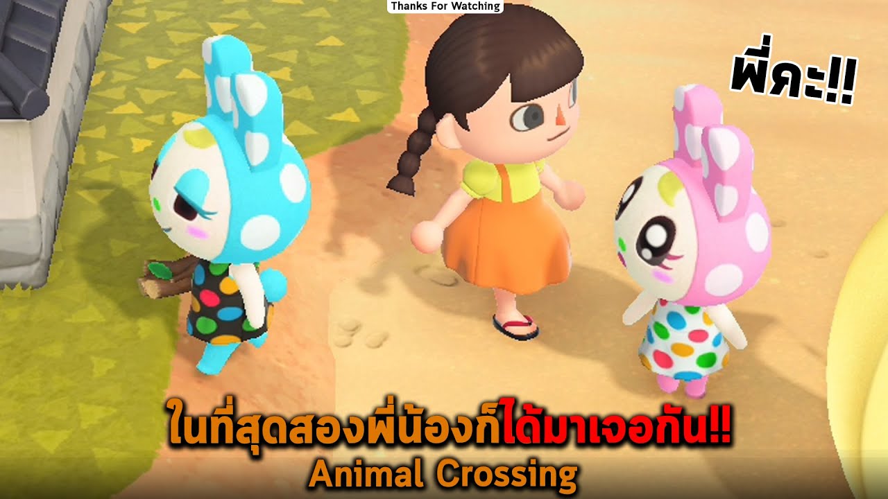 ในที่สุดสองพี่น้องก็ได้มาเจอกัน Animal Crossing
