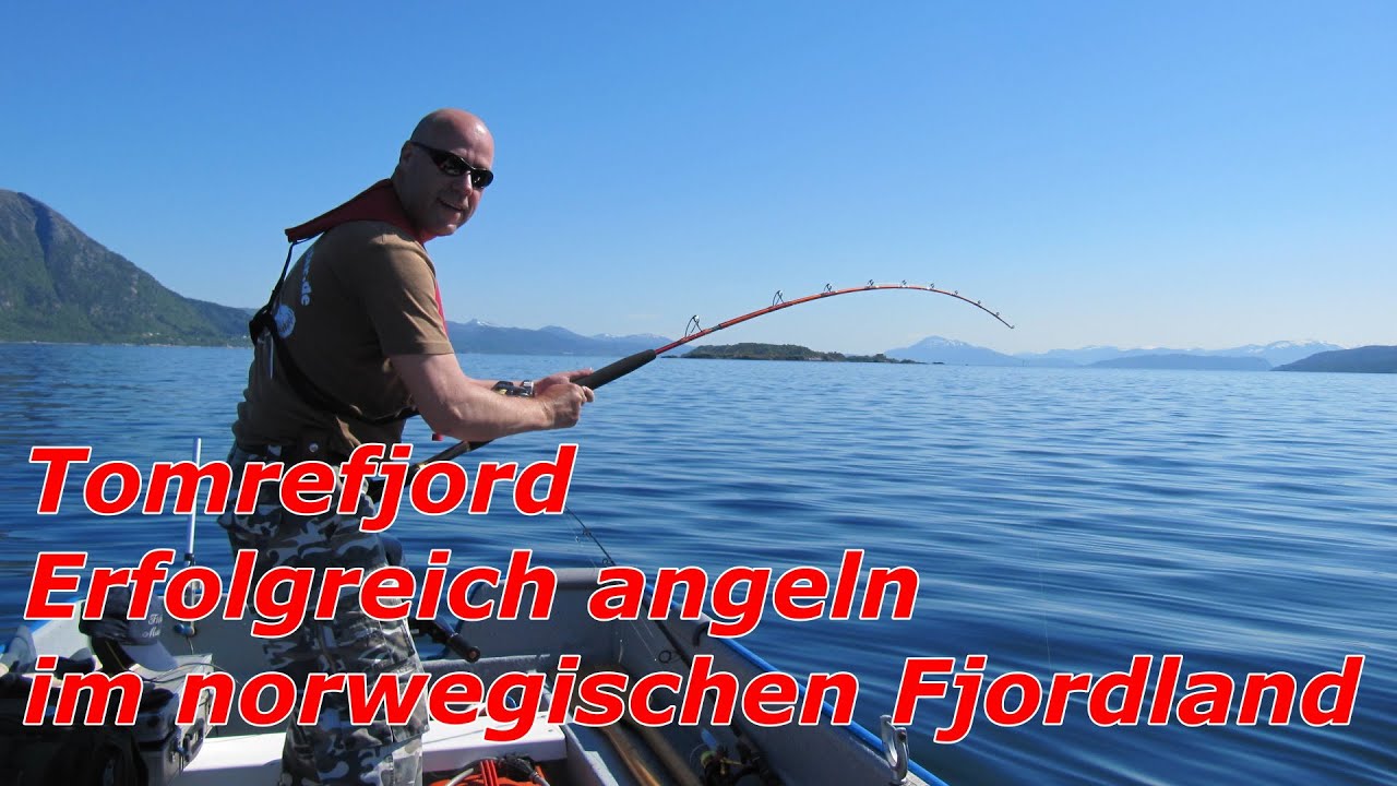 Tomrefjord - Erfolgreich Angeln im norwegischen Fjordland #4