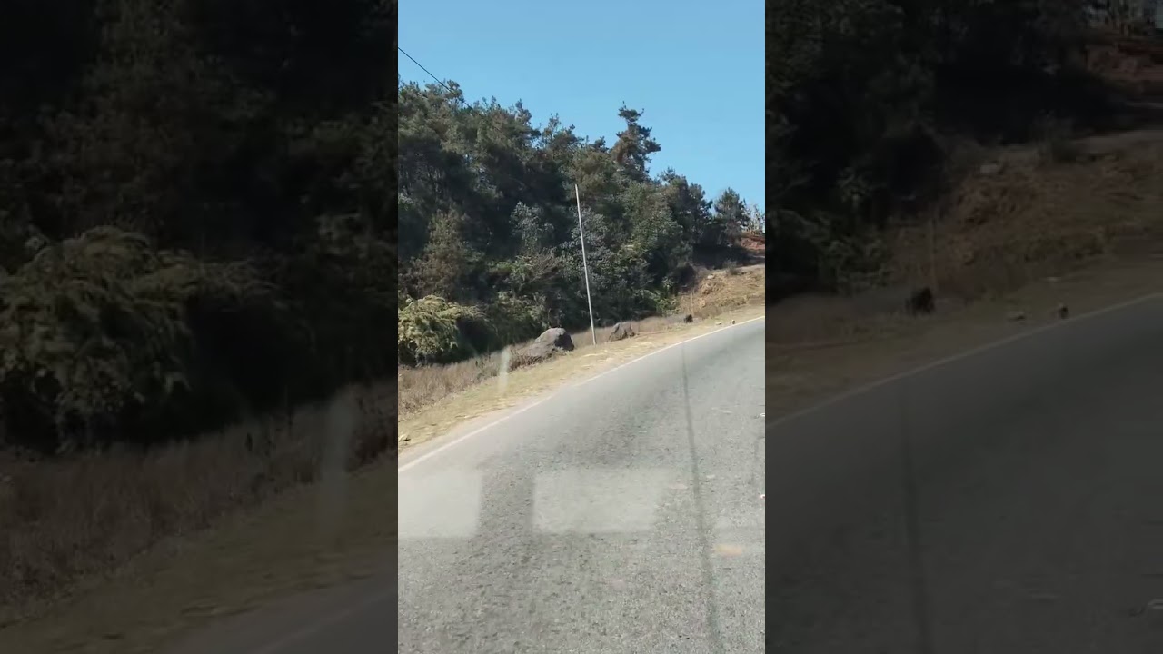 #hllo everyone welcome back to my you tube channel @trip to all maghalaya 