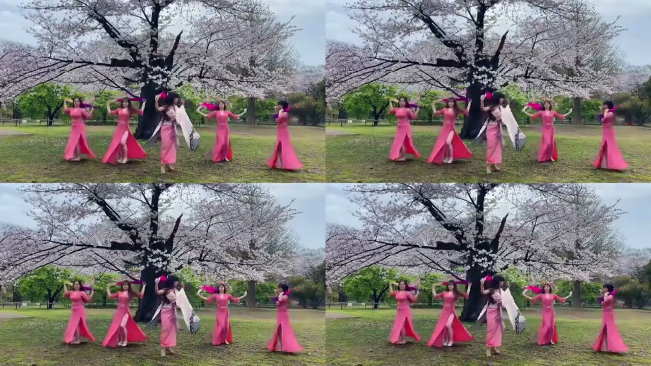 ファンベール　ビックファンベール　Fanveils with Kimono