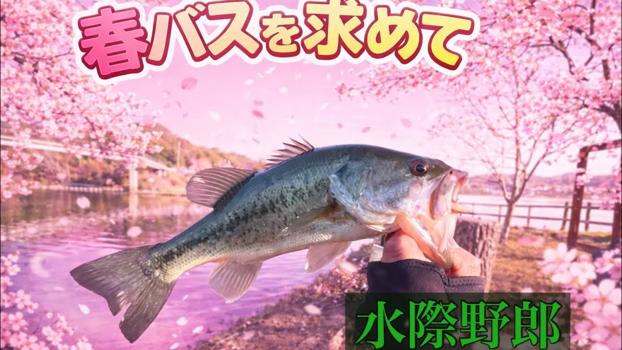 気難しい春バスを求めて【亀山湖】バスフィッシング