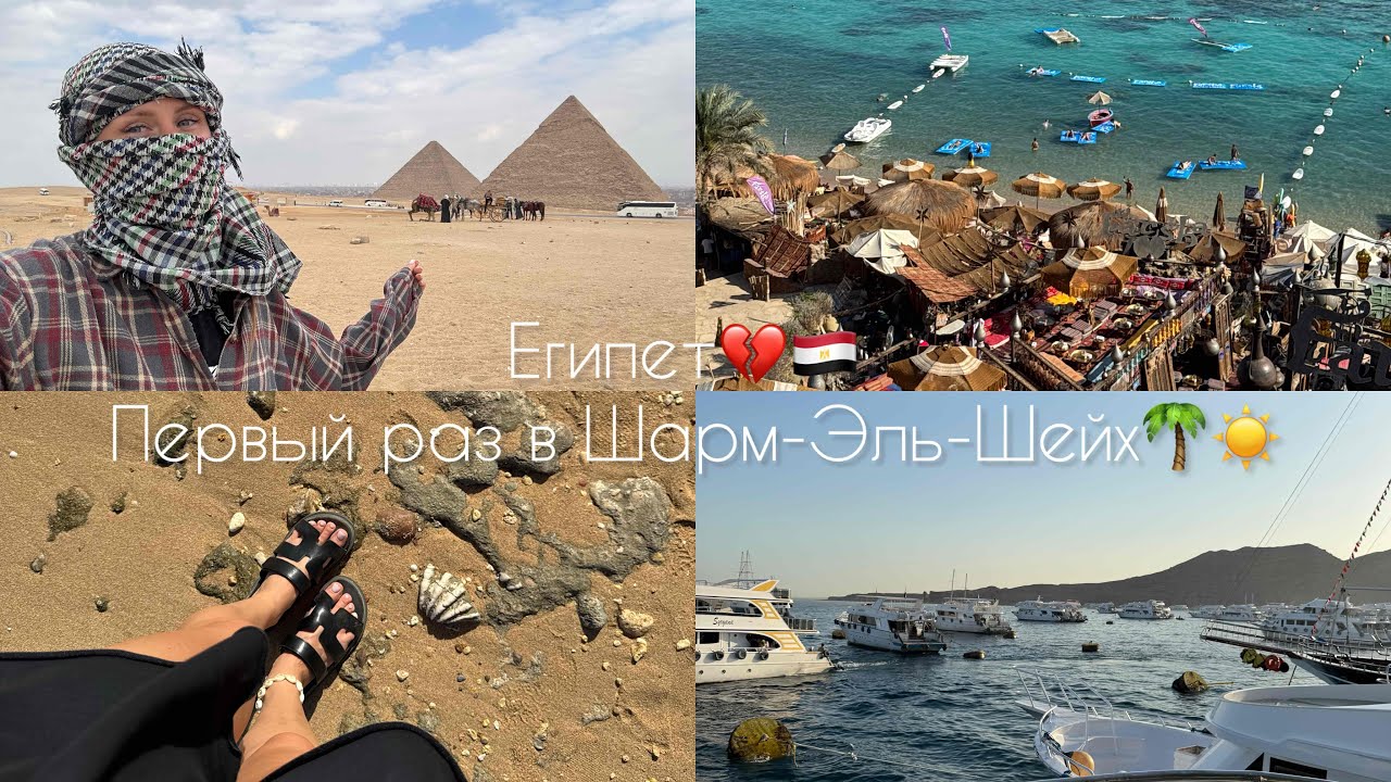 ЕГИПЕТ // первый раз в Шарм-Эль-Шейхе, погружение, Каир, пирамиды 🌴
