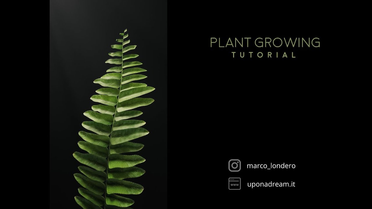 Plant Growing animation | Houdini Full Tutorial