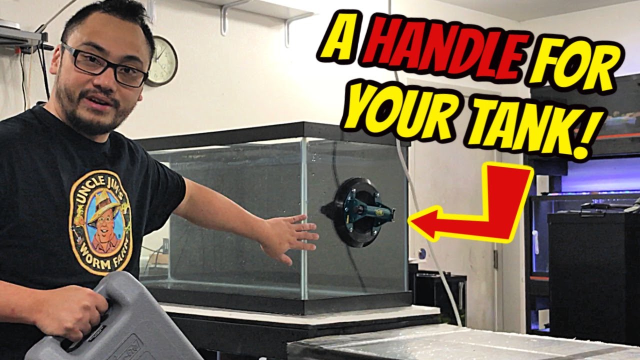 Lifting Heavy Fish Tanks with Suction Power! - Woods PowrGrip