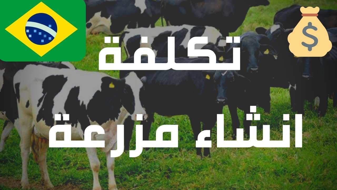 البرازيل : دراسة جدوي لانشاء مزرعة