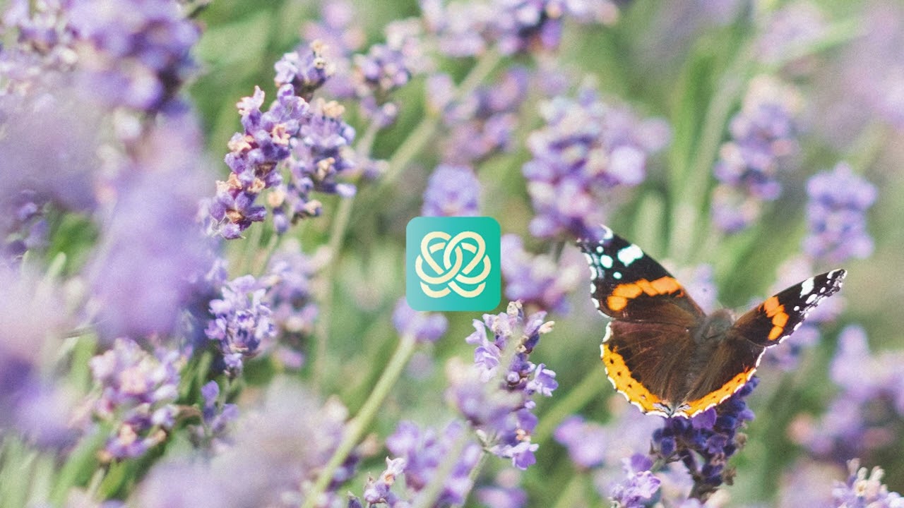 Meditaatio ahdistukseen &ndash; Rauhoitu ja rentoudu | Unknotted Mind