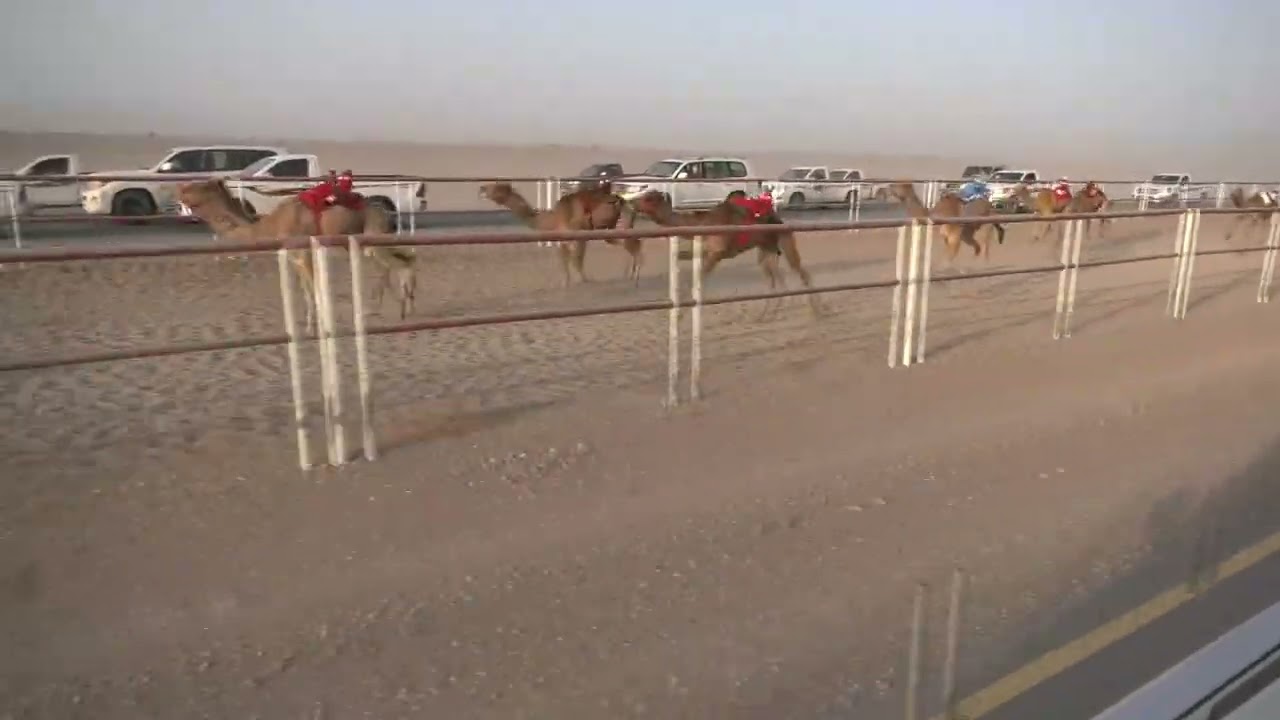ش8 شاهين عبدالله حميد عبدالله الدرعي