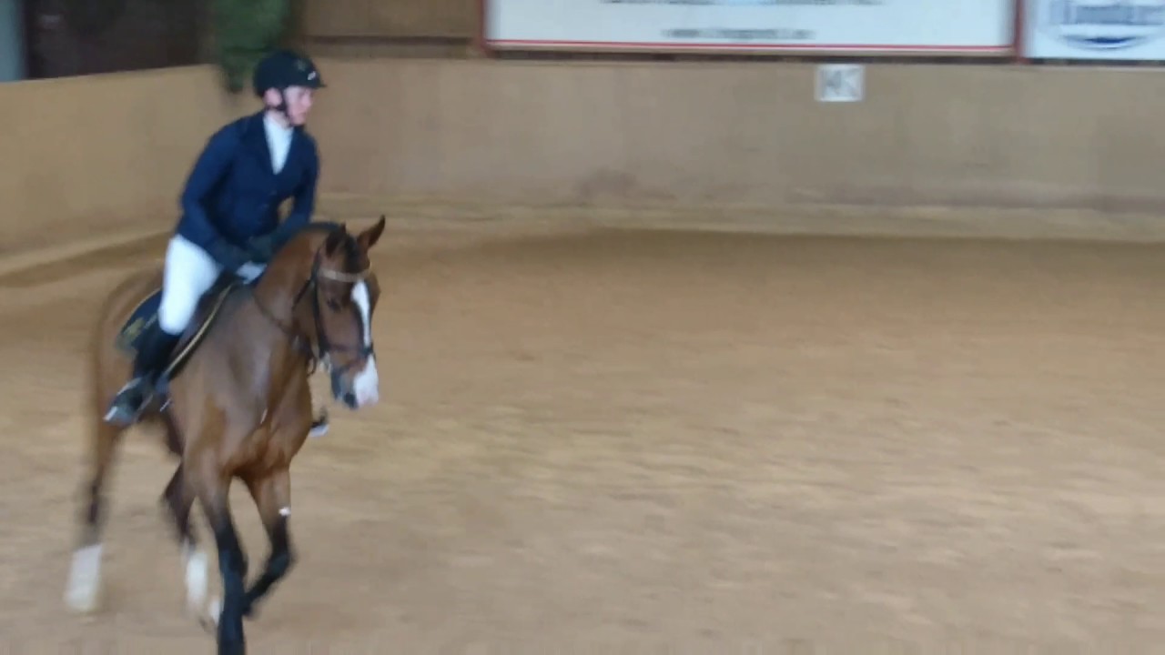 Queen Marmelade 4yo by Fetcher N