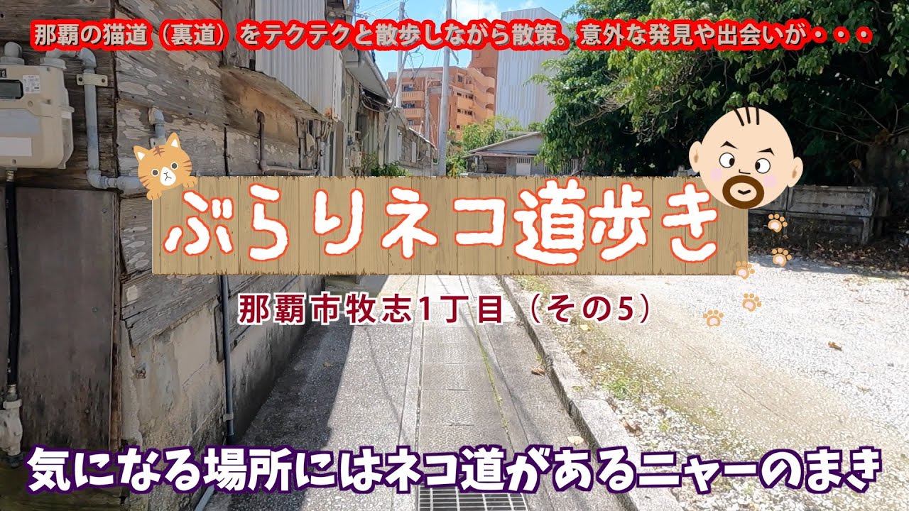 【沖縄 裏路地散策】気になる場所にはネコ道があるニャーのまき；那覇市牧志1丁目（その5）[ ぶらりネコ道歩き ]