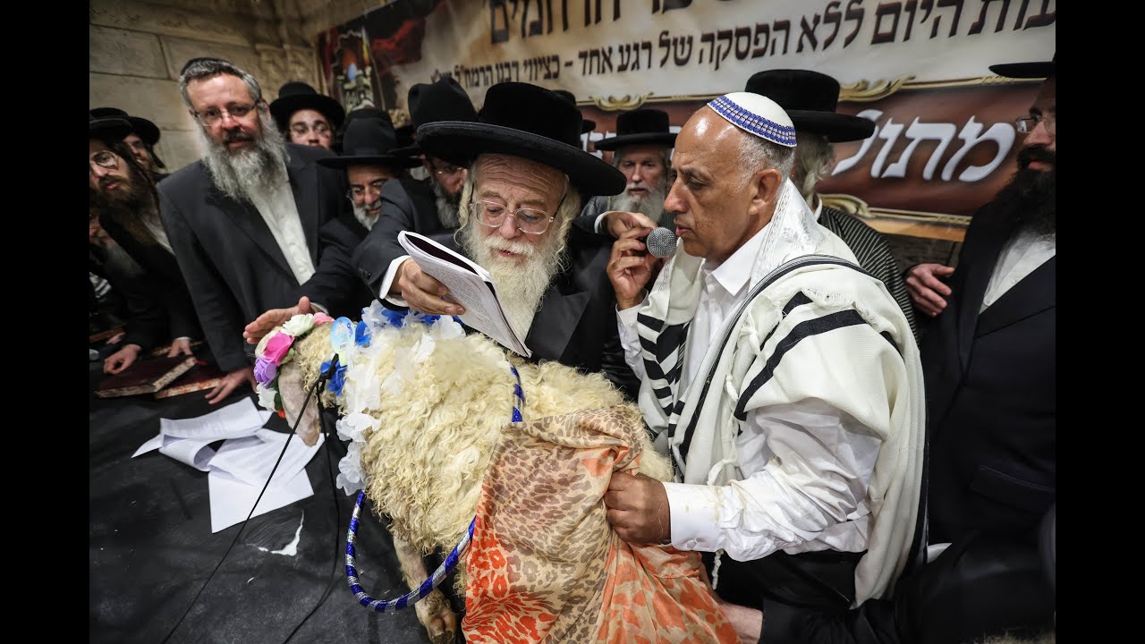 מעמד נדיר: פדיון פטר חמור בהשתתפות האדמו''ר מתולדות אהרון