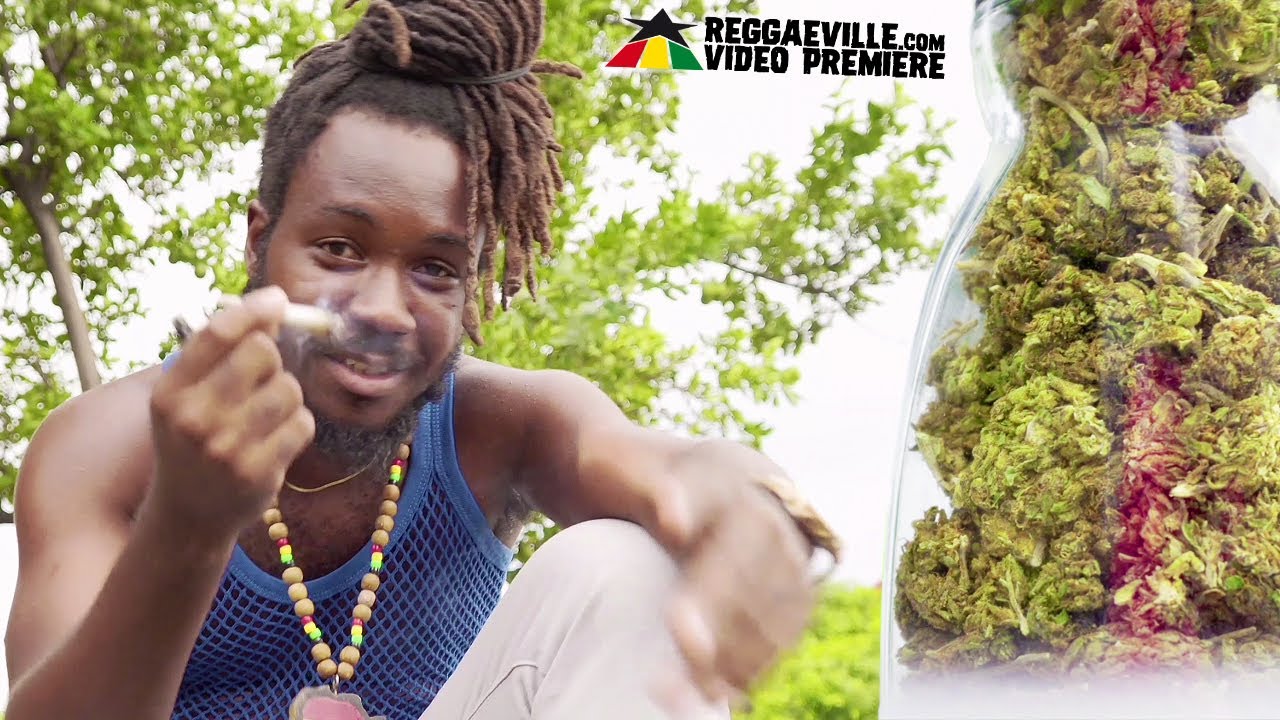 Bingi - High Grade [Official Video 2021]