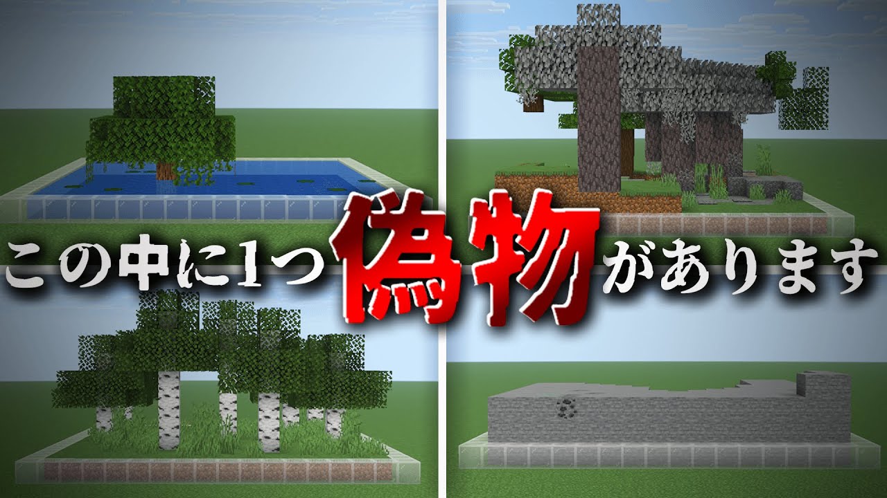4つの中から人が作った偽物の地形を見破れ！！【偽物の地形はどれでSHOW】