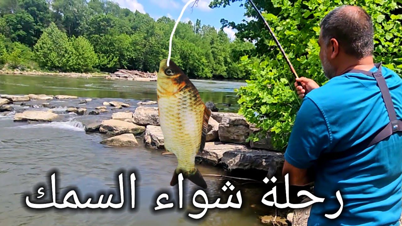 شواء السمك في غابات أمريكا