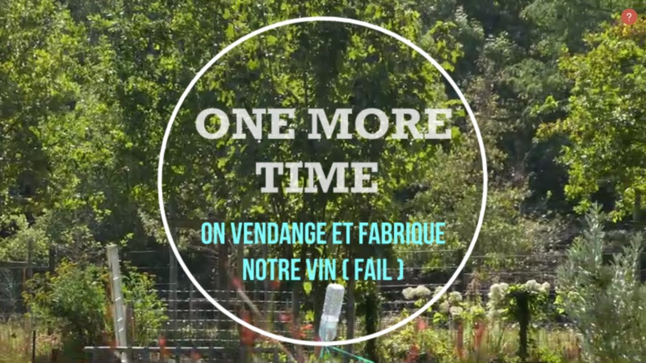 One More Time #3 - On vendange et fabrique notre vin (FAIL)