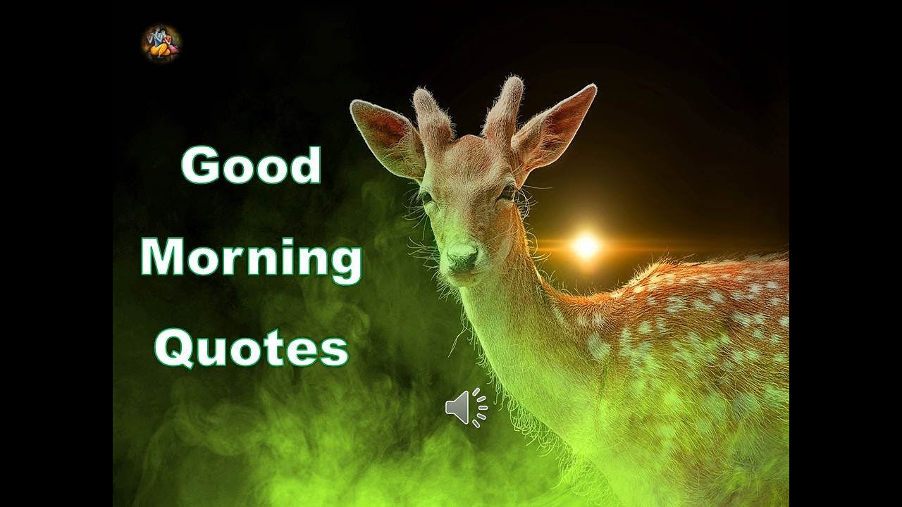 Good morning quotes images | Good morning quotes - Quotes