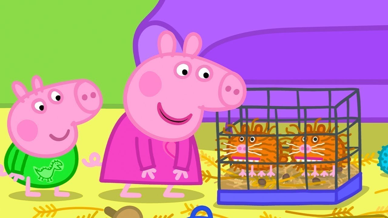 The Pet Shop | Peppa Pig Asia 🐽 Peppa Pig Full Episodes