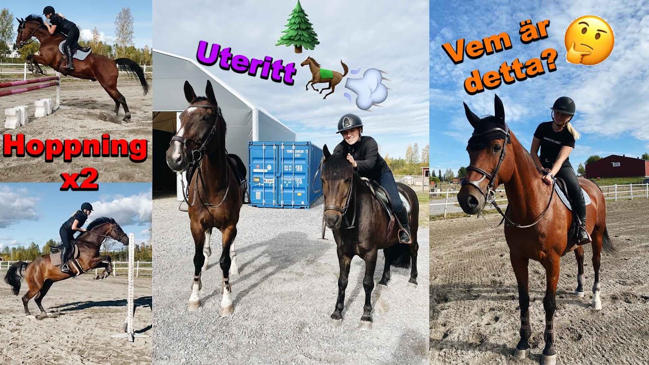 Stallvlogg med hoppning x2 och uteritt!