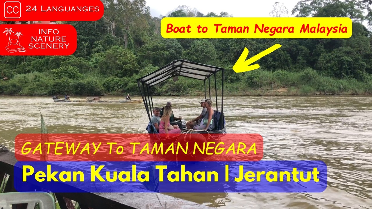 🏕️ Tak Sangka Pekan Kuala Tahan ADA Semua ni. (Resort, Parking, Jeti & Restoran) |Jerantut, Malaysia