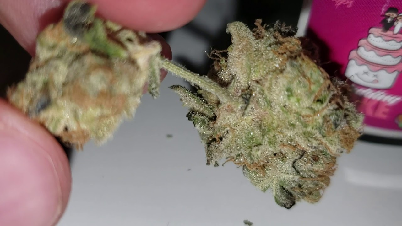 STRAIN REVIEW 034: wedding cake AAAA - Ghostdrops