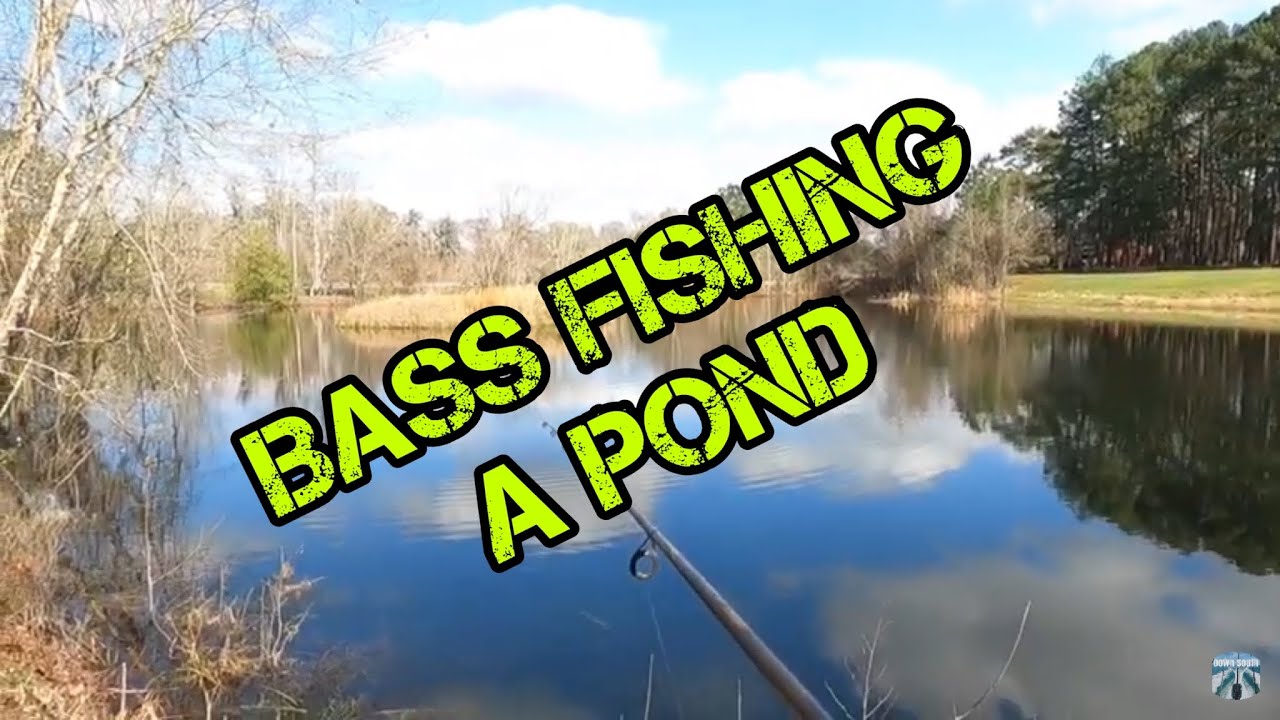 Fishing A Roadside Pond!