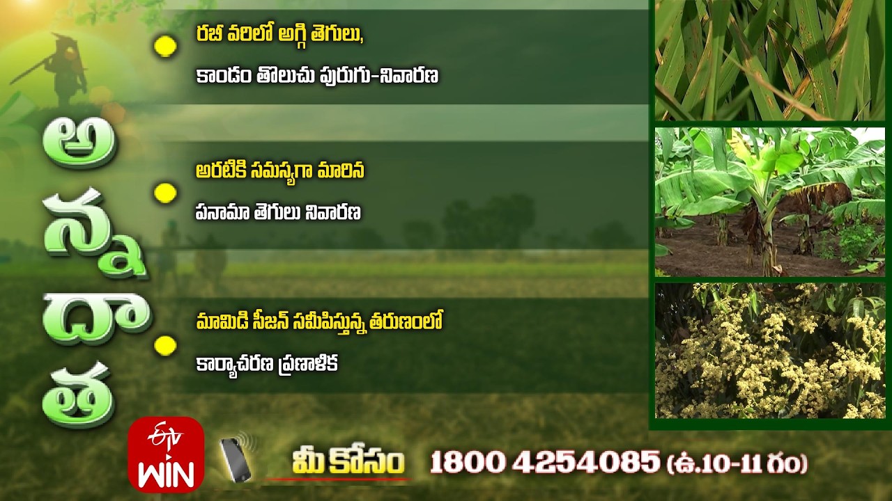 26th February 2026 | Annadata | అన్నదాత | Full Episode | ETV Telugu