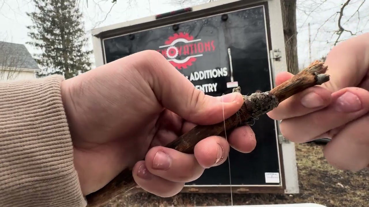 How to make a quick fishing rod if your in the woods with fishing line (Survival Tips)