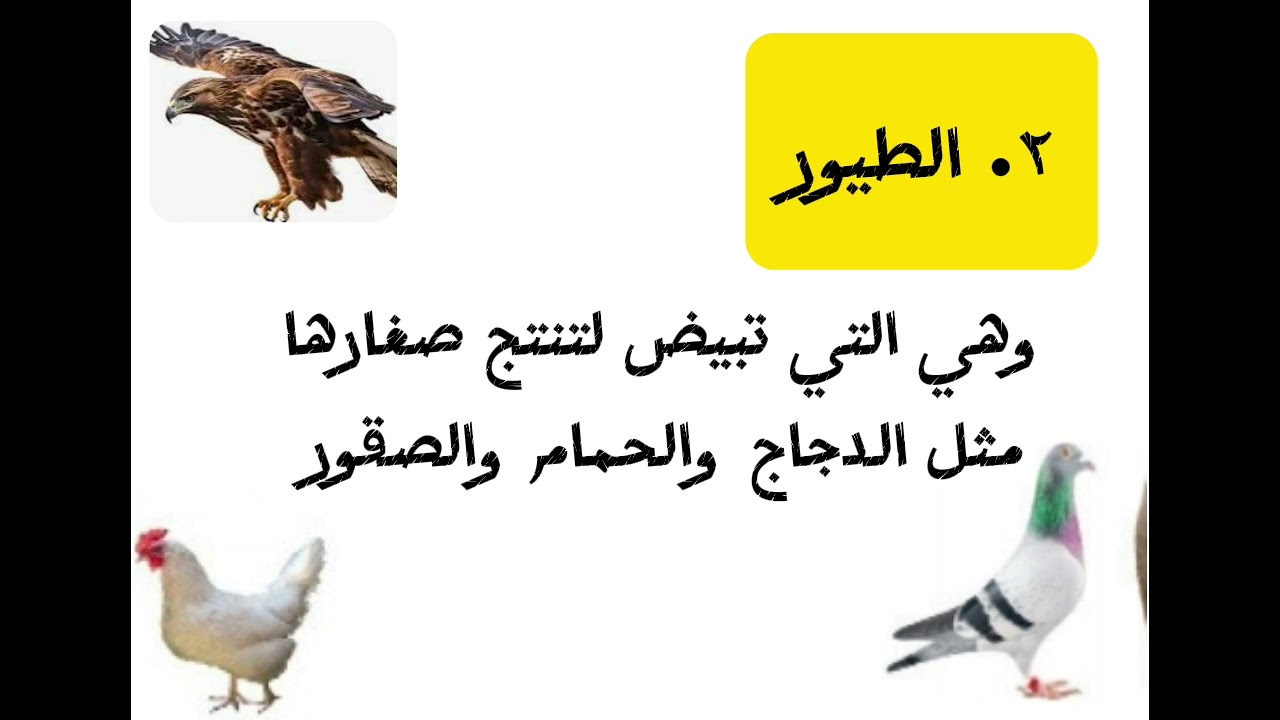 علوم ثالث ابتدائي- الوحدة(١) -الدرس (١٣)
