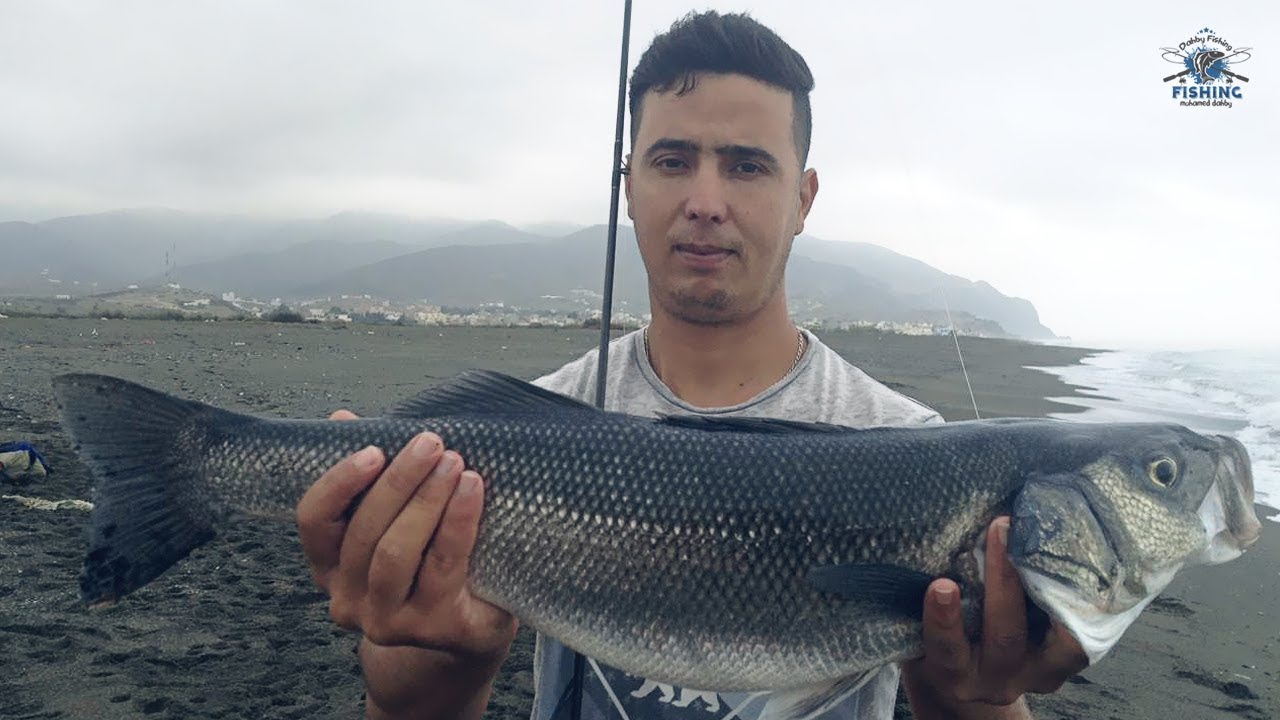 تحدي صيد سمك الدرعي العملاق بتقنية السبينينغ 🎣 حصيلة غير متوقعة‼️