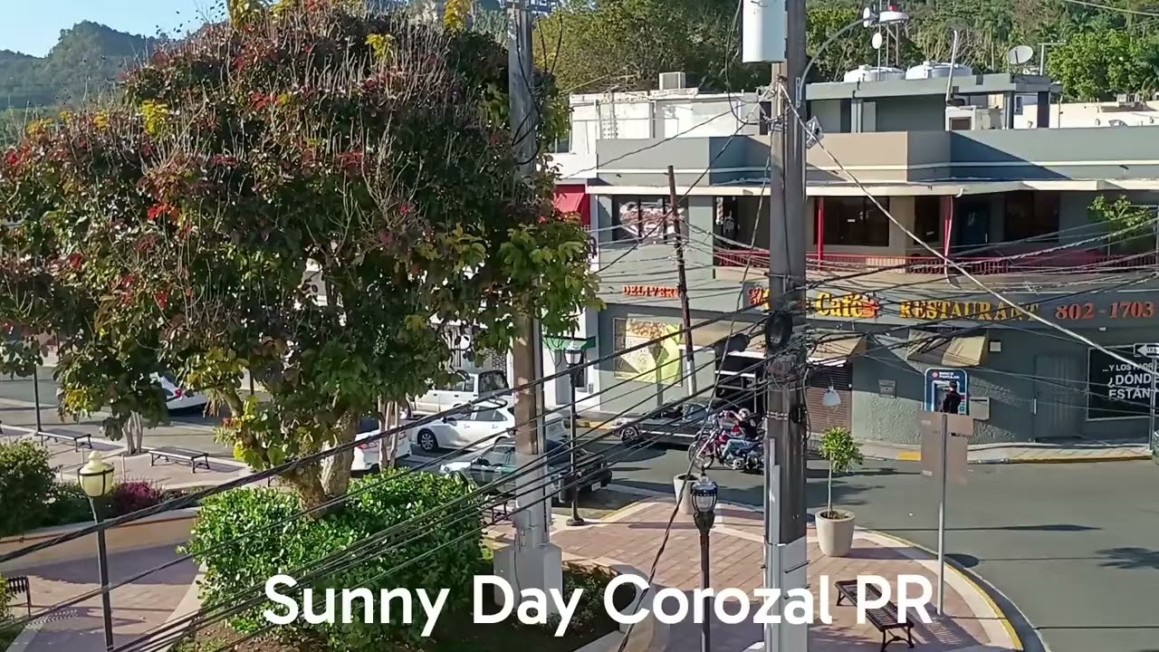 Sunny Day Corozal PR