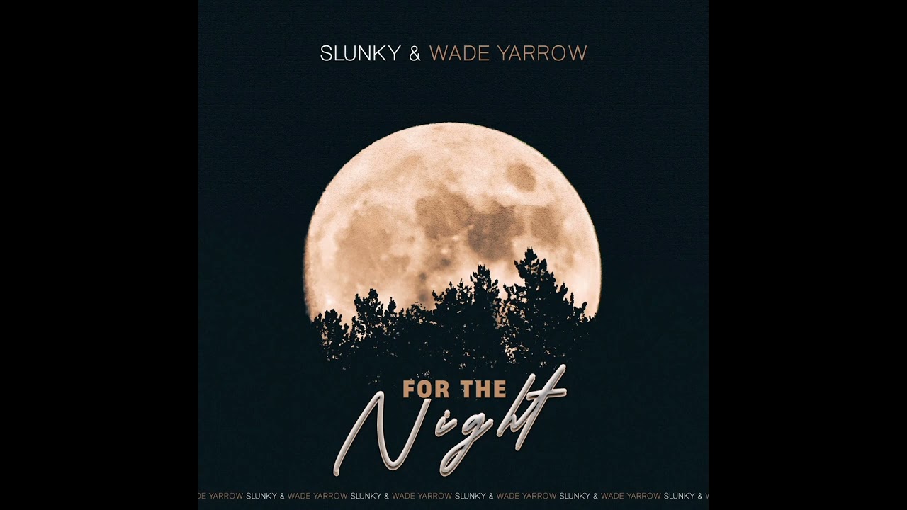 for the night (Wade Yarrow & Slunky)