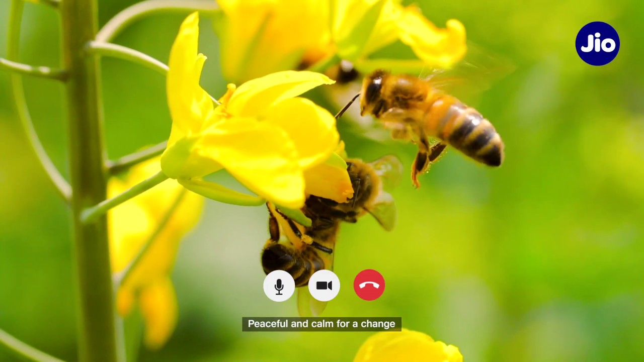 World Environment Day 2020 - With Love From Jio