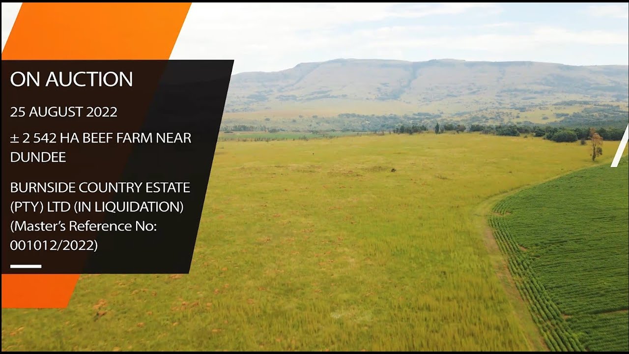 Liquidation Matter - Large Beef Farm near Dundee, KwaZulu-Natal On Auction 25 August 2022.