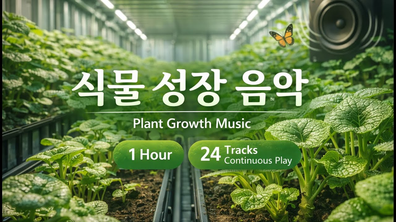 식물성장음악 24트랙 감성이 충만한 음악채널 모카멜로디 / 카페음악 #카페음악 #플레이리스트 #7080노래 #신나는곡 #경쾌한음악 #경쾌한카페음악 #모카멜로디 #식물성정음악