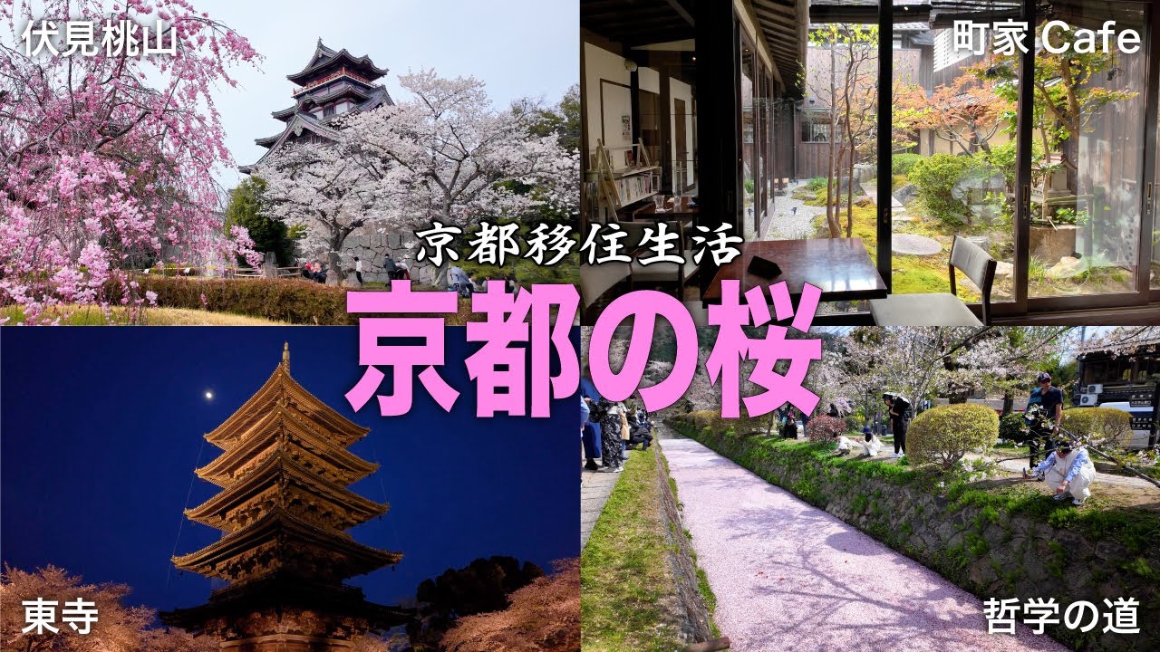 【30代フリーターのVlog】＜後編＞京都移住生活｜京都の桜巡り｜伏見桃山｜酒蔵の町並みと十石舟｜御香宮神社｜伏見桃山城｜町家カフェ｜東寺ライトアップ｜哲学の道 花筏【No.101】