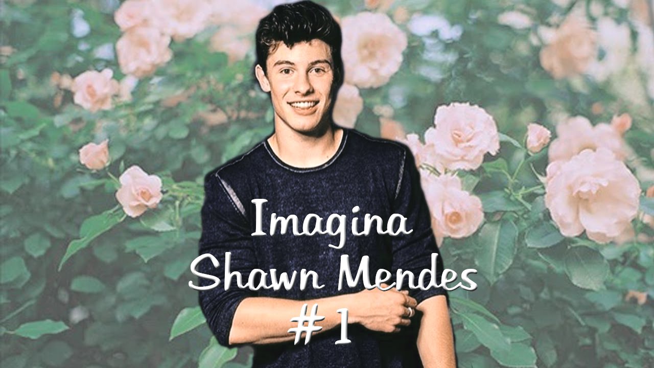 Shawn Mendes || Imagina #1