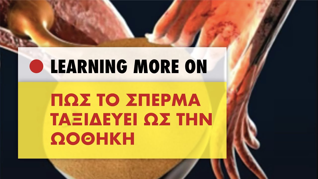 ✅ Το σπέρμα ταξιδεύει μέχρι την ωοθήκη σου!