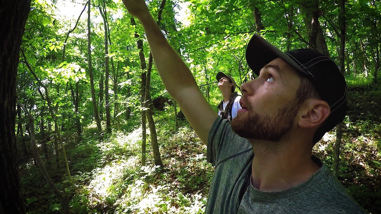 AGGRESSIVE HUNTING STRATEGY! - Big woods buck bedding | The Hunting Public