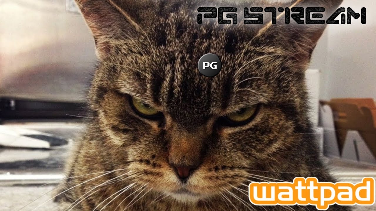 🔴PG Stream: Crapowe Fanfiki z Wattpada▶️