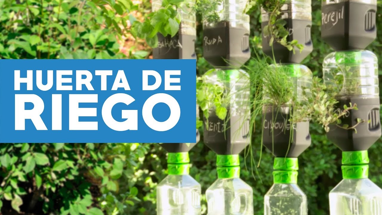 Cómo hacer una huerta de riego por goteo con botellas recicladas