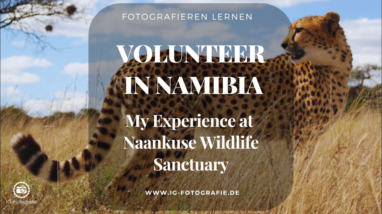 Naankuse Wildlife Sanctuary: My Experience as a Volunteer in Namibia