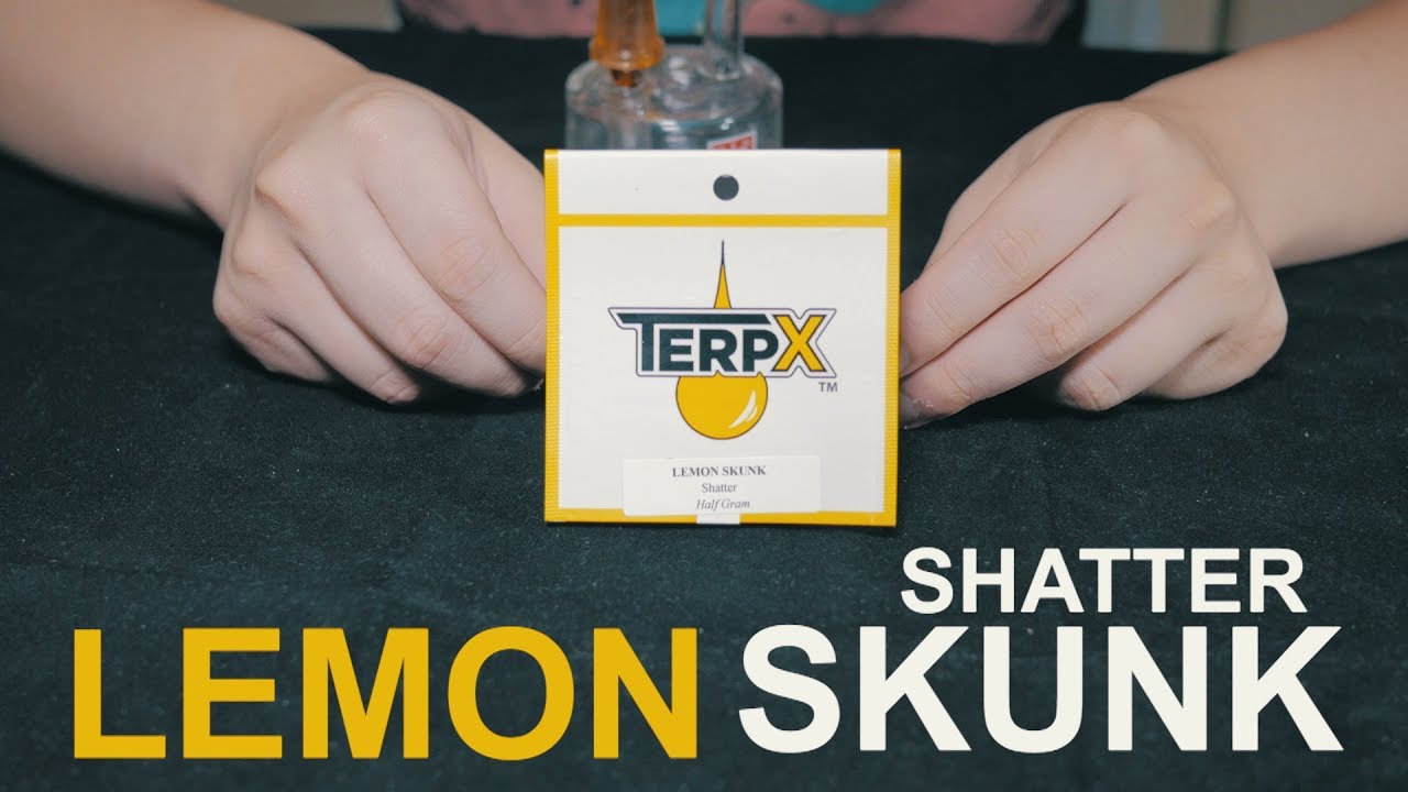 Strain Review: TerpX - Lemon Skunk Shatter 🔥
