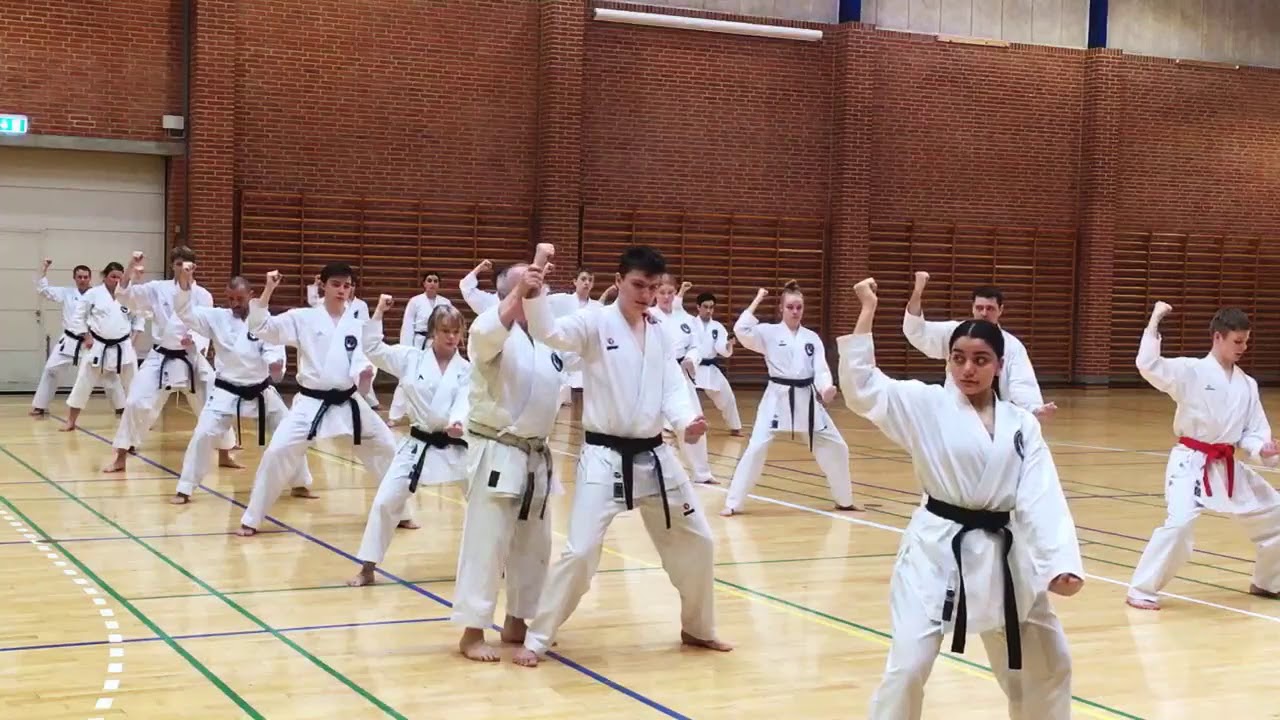 Wim massee 8. Dan - Seminar WIKF