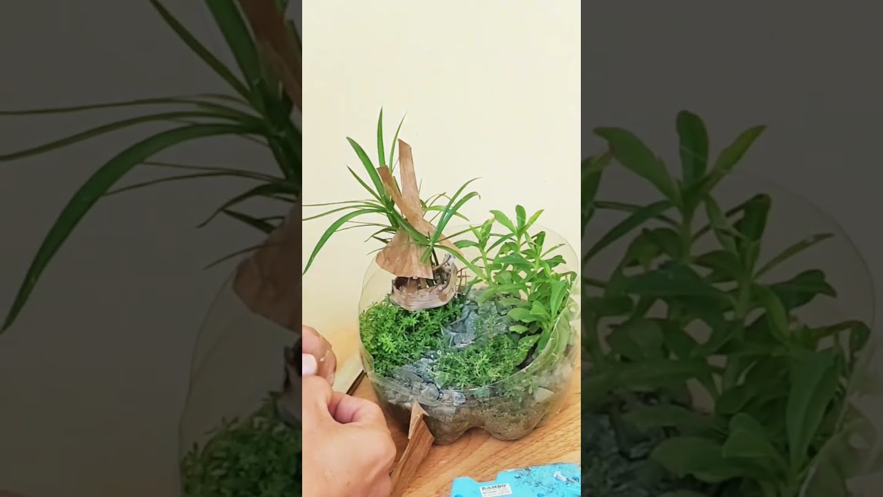 Creating a Mini Garden in a Pot with Tree House and Cottage 😍