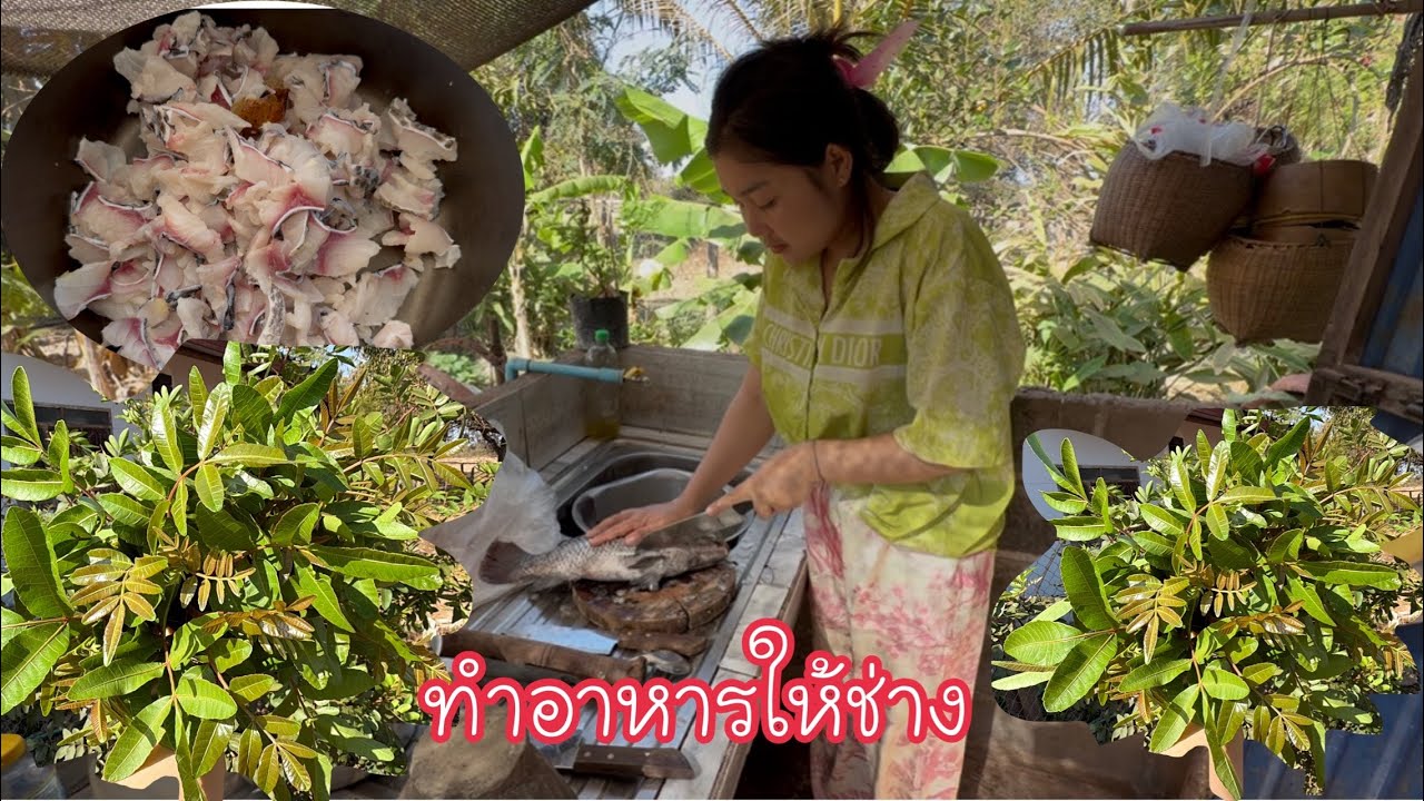 เก็บผักเตรียมทำอาหารให้ช่าง//ได้เมนูอะไร