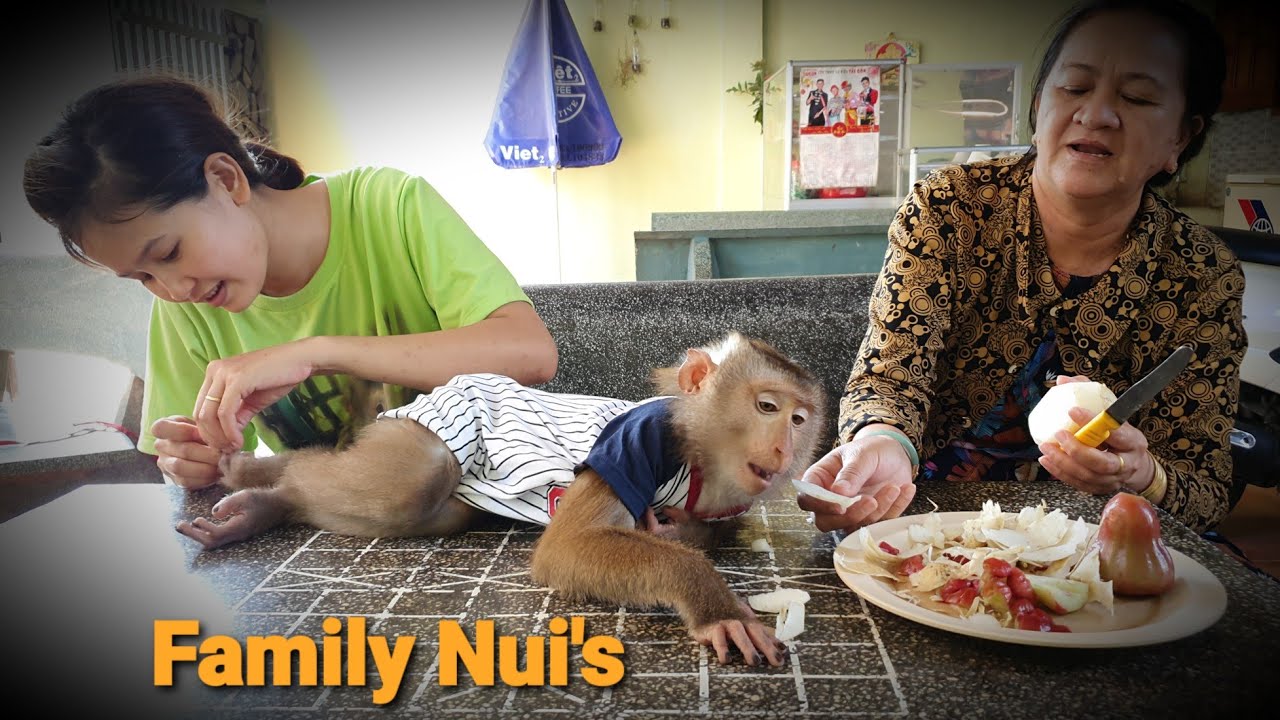 Nui Family | The way Princess Nui eats