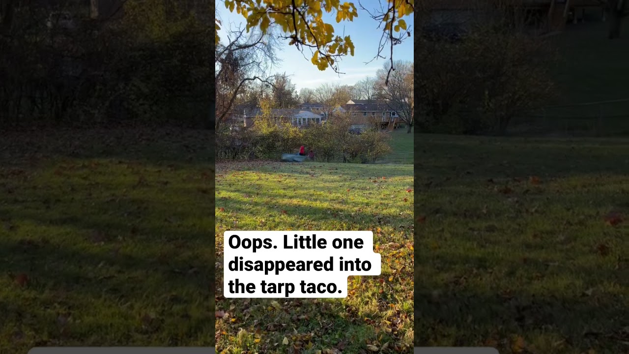 Who Says Fall Leaf Cleanup Can’t Be Fun - TARP TACO